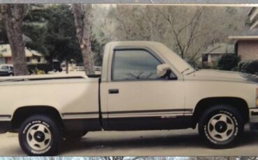 Chevrolet-1500-silverado-1991-grey-6