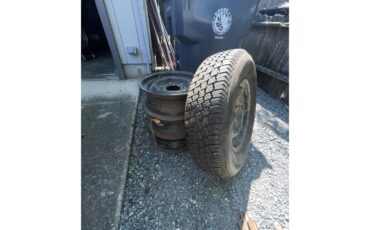 Chevrolet-3100-1959-Blue-Black-6