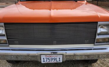 Chevrolet-3500-dually-pickup-1989-orange-5