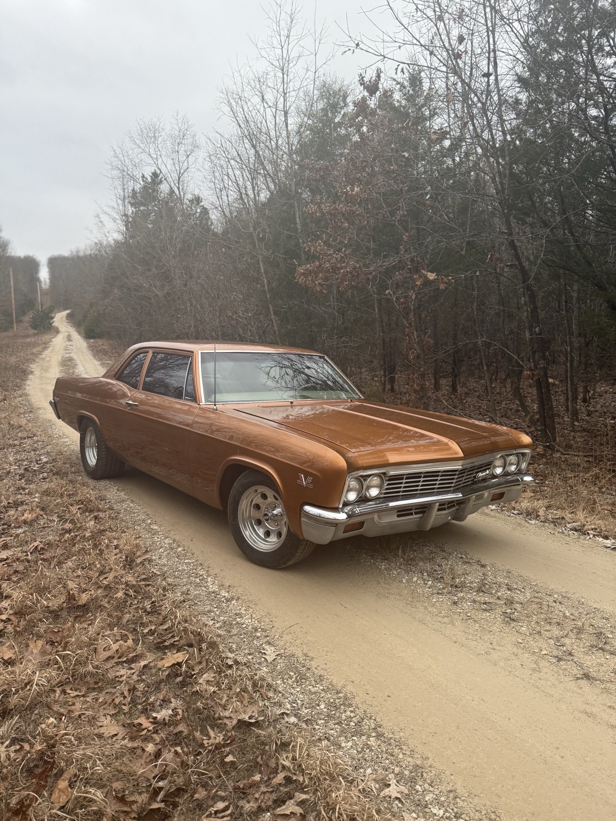 Chevrolet Biscayne 1966