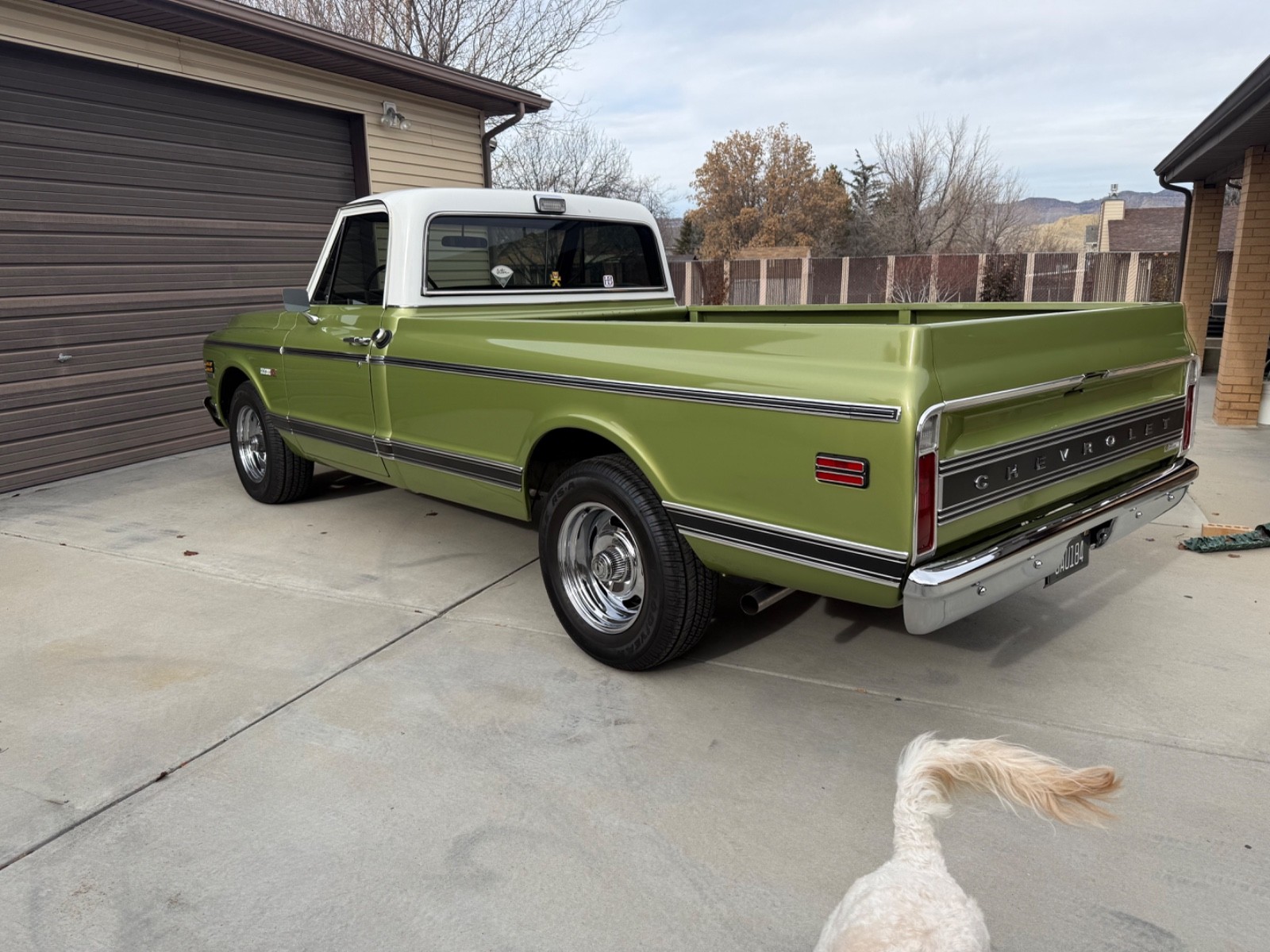 Chevrolet-C-10-1971-Pick-up-3
