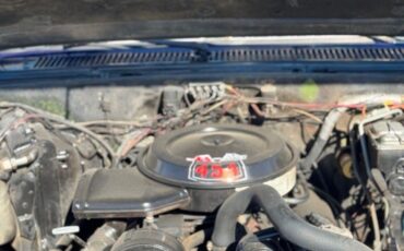 Chevrolet-C-10-1975-Pickup-Truck-5