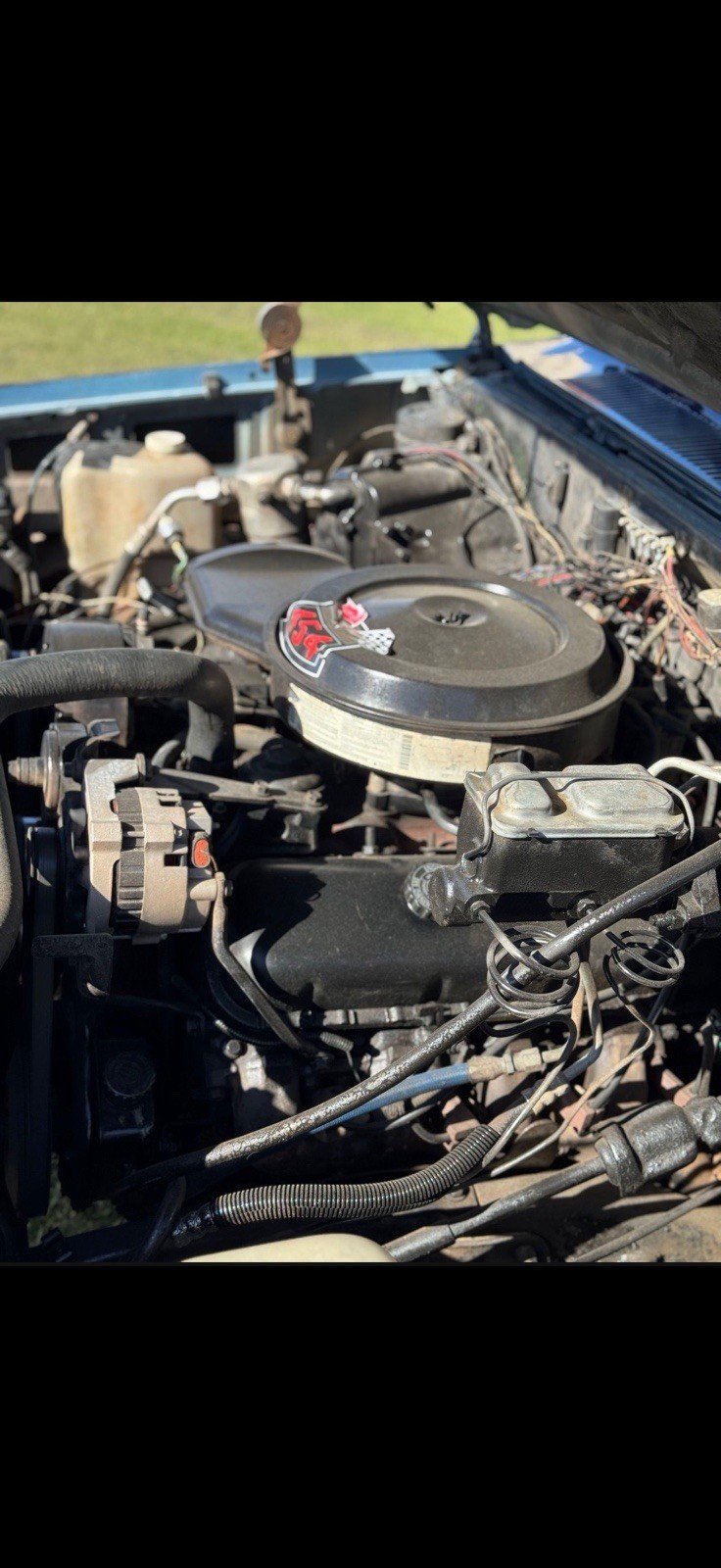 Chevrolet-C-10-1975-Pickup-Truck-6