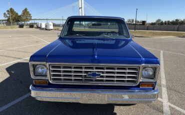 Chevrolet-C-10-1976-Standard-Cab-Pickup-1