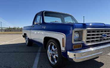 Chevrolet-C-10-1976-Standard-Cab-Pickup-2