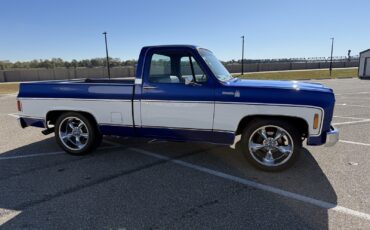 Chevrolet-C-10-1976-Standard-Cab-Pickup-4