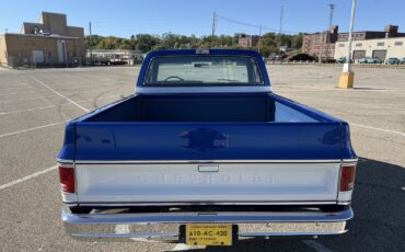 Chevrolet-C-10-1976-Standard-Cab-Pickup-6