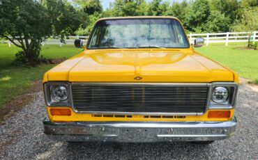 Chevrolet-C-10-1977-1