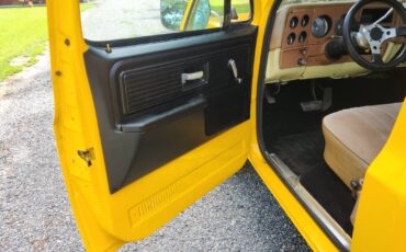 Chevrolet-C-10-1977-10