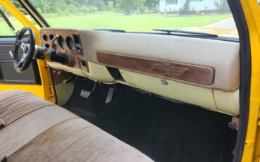 Chevrolet-C-10-1977-11