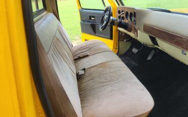 Chevrolet-C-10-1977-12