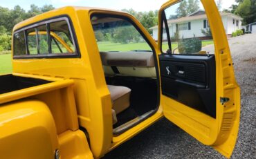 Chevrolet-C-10-1977-13