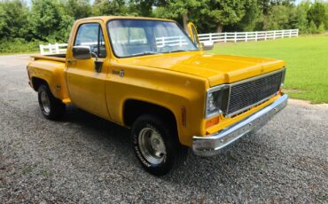 Chevrolet-C-10-1977-14