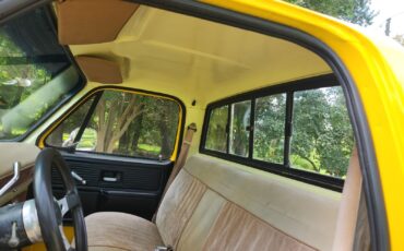 Chevrolet-C-10-1977-16