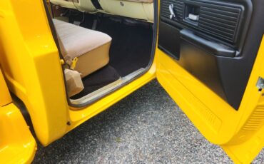 Chevrolet-C-10-1977-18