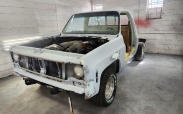 Chevrolet-C-10-1977-19