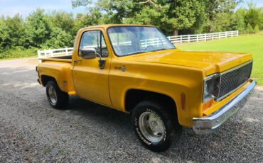 Chevrolet-C-10-1977-2