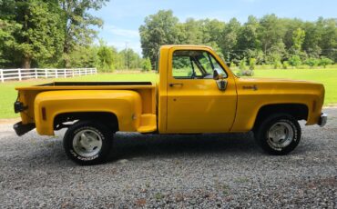 Chevrolet-C-10-1977-3