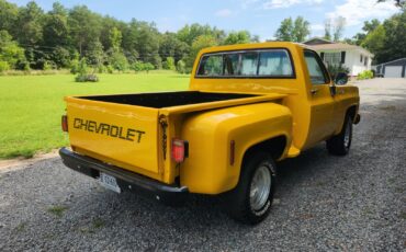 Chevrolet-C-10-1977-4