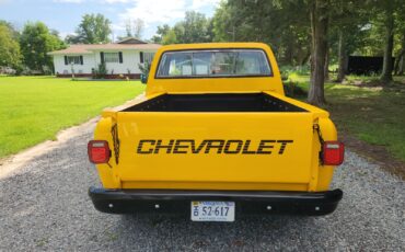 Chevrolet-C-10-1977-5