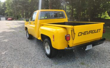 Chevrolet-C-10-1977-6