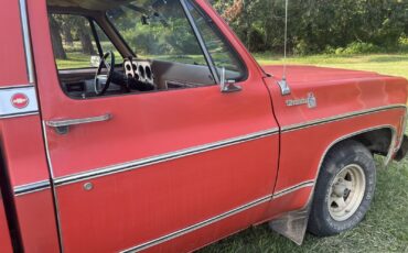 Chevrolet-C-10-1980-Standard-Cab-Pickup-1