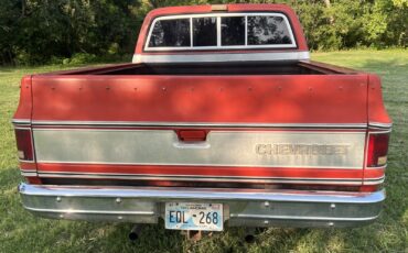 Chevrolet-C-10-1980-Standard-Cab-Pickup-2