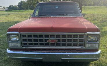 Chevrolet-C-10-1980-Standard-Cab-Pickup