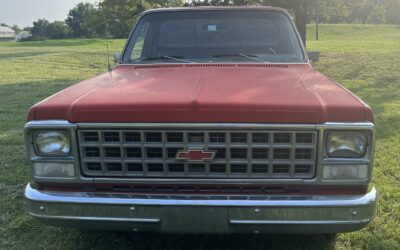 Chevrolet C-10 1980 Standard Cab Pickup