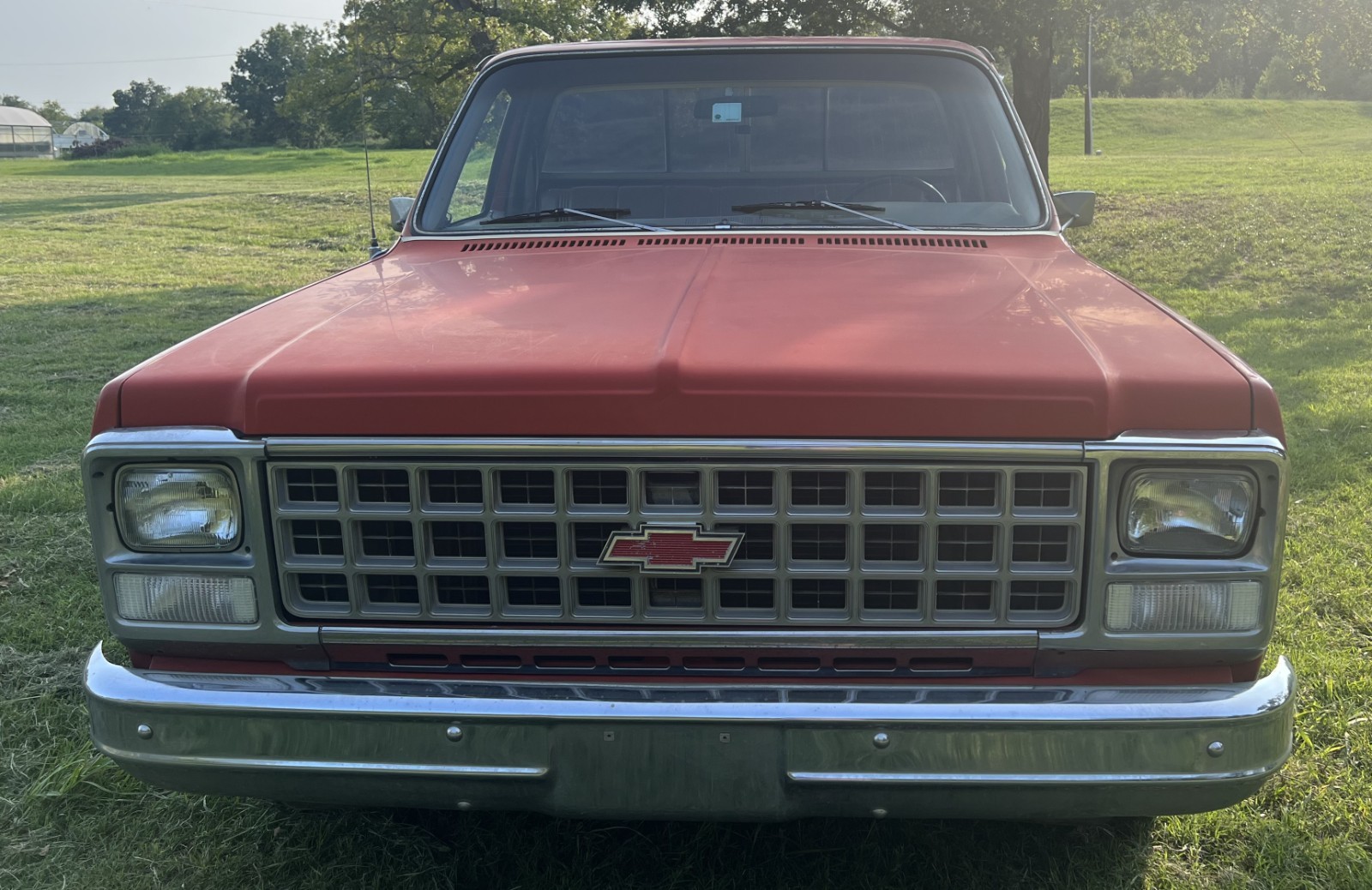 Chevrolet-C-10-1980-Standard-Cab-Pickup