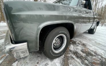 Chevrolet-C-10-1981-Standard-Cab-Pickup-11