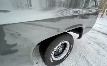 Chevrolet-C-10-1981-Standard-Cab-Pickup-16