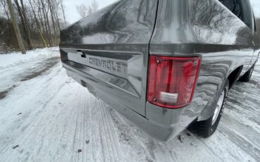 Chevrolet-C-10-1981-Standard-Cab-Pickup-19