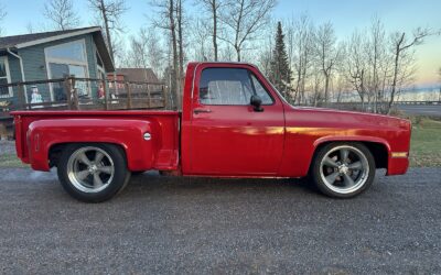 Chevrolet C-10 1981 Standard Cab Pickup