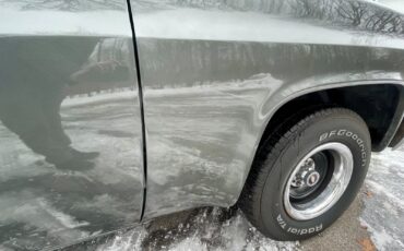 Chevrolet-C-10-1981-Standard-Cab-Pickup-23