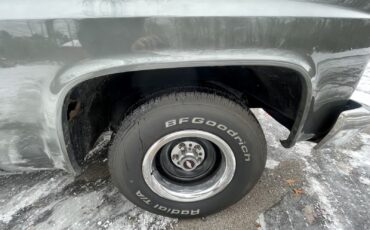 Chevrolet-C-10-1981-Standard-Cab-Pickup-25