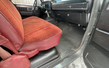 Chevrolet-C-10-1981-Standard-Cab-Pickup-31