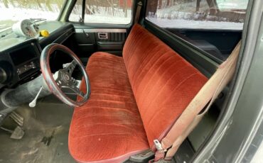 Chevrolet-C-10-1981-Standard-Cab-Pickup-38