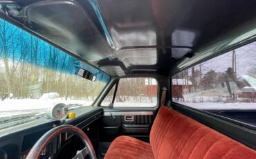 Chevrolet-C-10-1981-Standard-Cab-Pickup-39