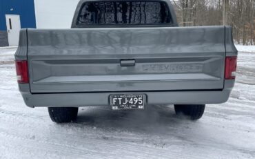 Chevrolet-C-10-1981-Standard-Cab-Pickup-4