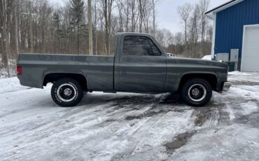Chevrolet-C-10-1981-Standard-Cab-Pickup-5