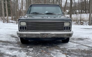 Chevrolet-C-10-1981-Standard-Cab-Pickup-6