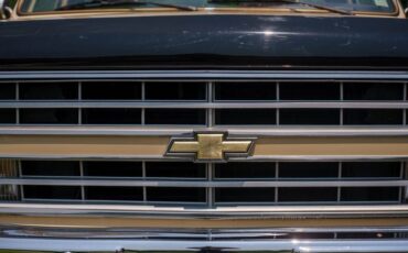 Chevrolet-C-10-1985-Standard-Cab-Pickup-10