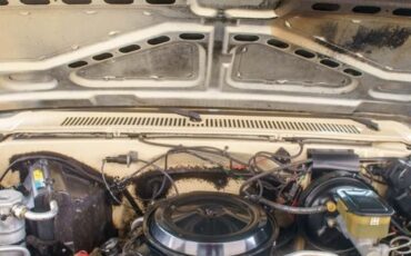 Chevrolet-C-10-1985-Standard-Cab-Pickup-19