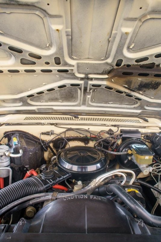 Chevrolet-C-10-1985-Standard-Cab-Pickup-19