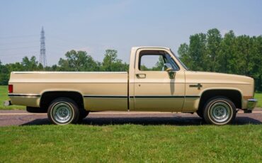 Chevrolet-C-10-1985-Standard-Cab-Pickup-2