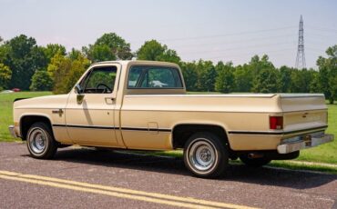Chevrolet-C-10-1985-Standard-Cab-Pickup-29