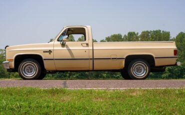Chevrolet-C-10-1985-Standard-Cab-Pickup-30