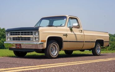 Chevrolet-C-10-1985-Standard-Cab-Pickup-31
