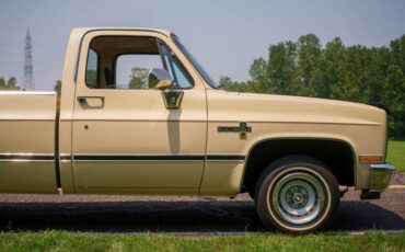 Chevrolet-C-10-1985-Standard-Cab-Pickup-34